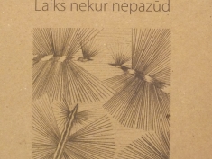 Laiks nekur nepazūd (2013)