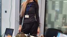 SASNIEGUMI STARPTAUTISKAJĀ SMU TIRDZIŅĀ ČEHIJĀ