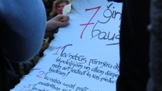 Fukši 2013