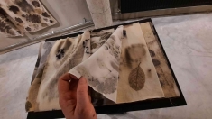 Piedzīvojot mākslas daudzveidību galerijā