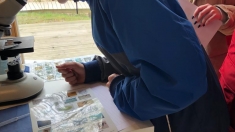 Dabaszinātņu konkurss Liepājas 7.- 8.klašu skolēni